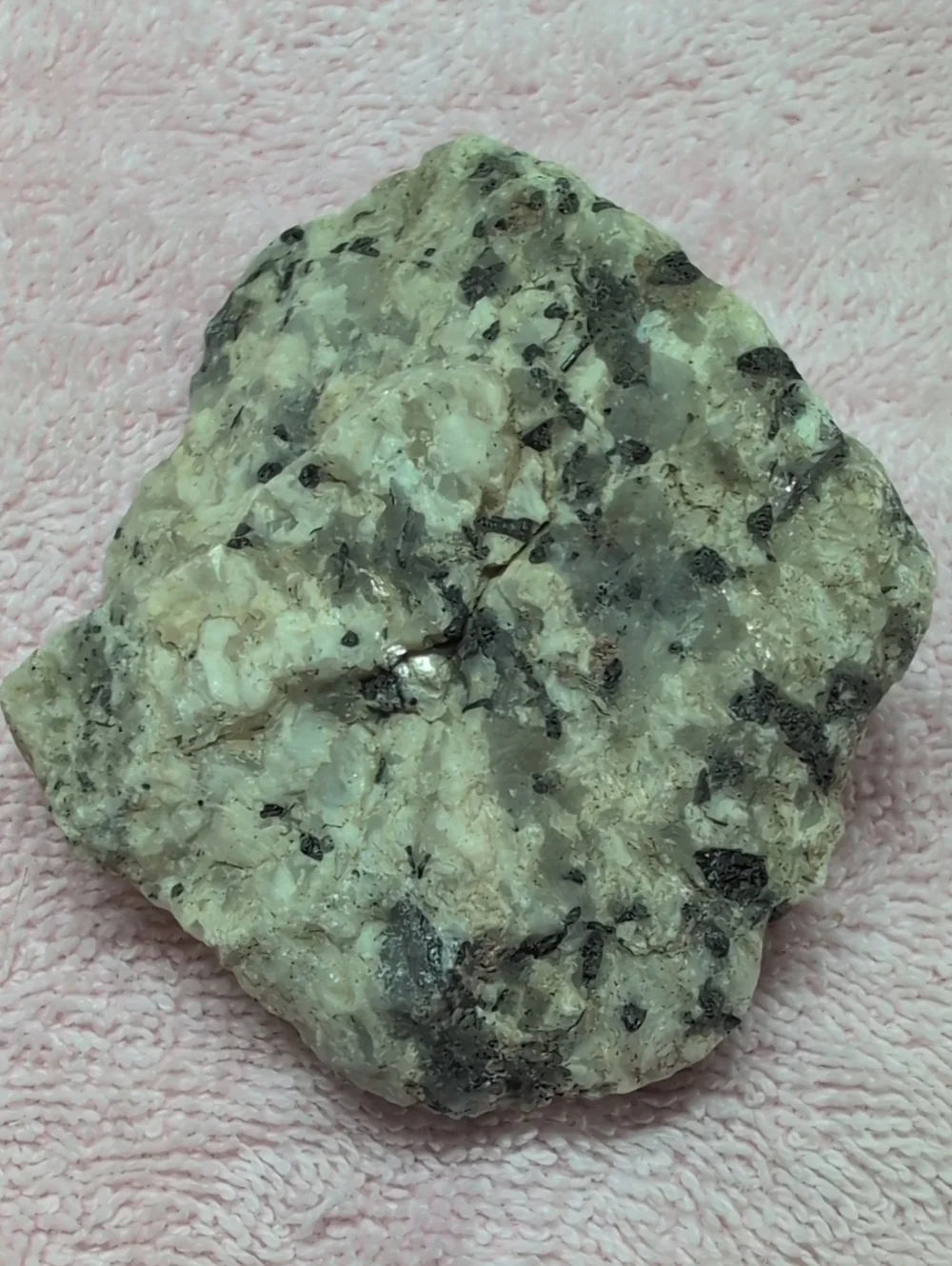 Black Tourmaline In Quartz #4